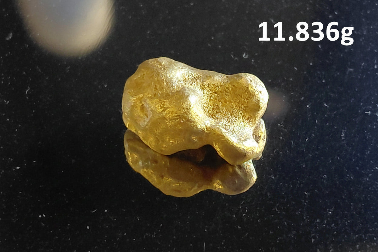 MOTHERCHUNKER Custom Gold Paydirt: One Giant Nugget!