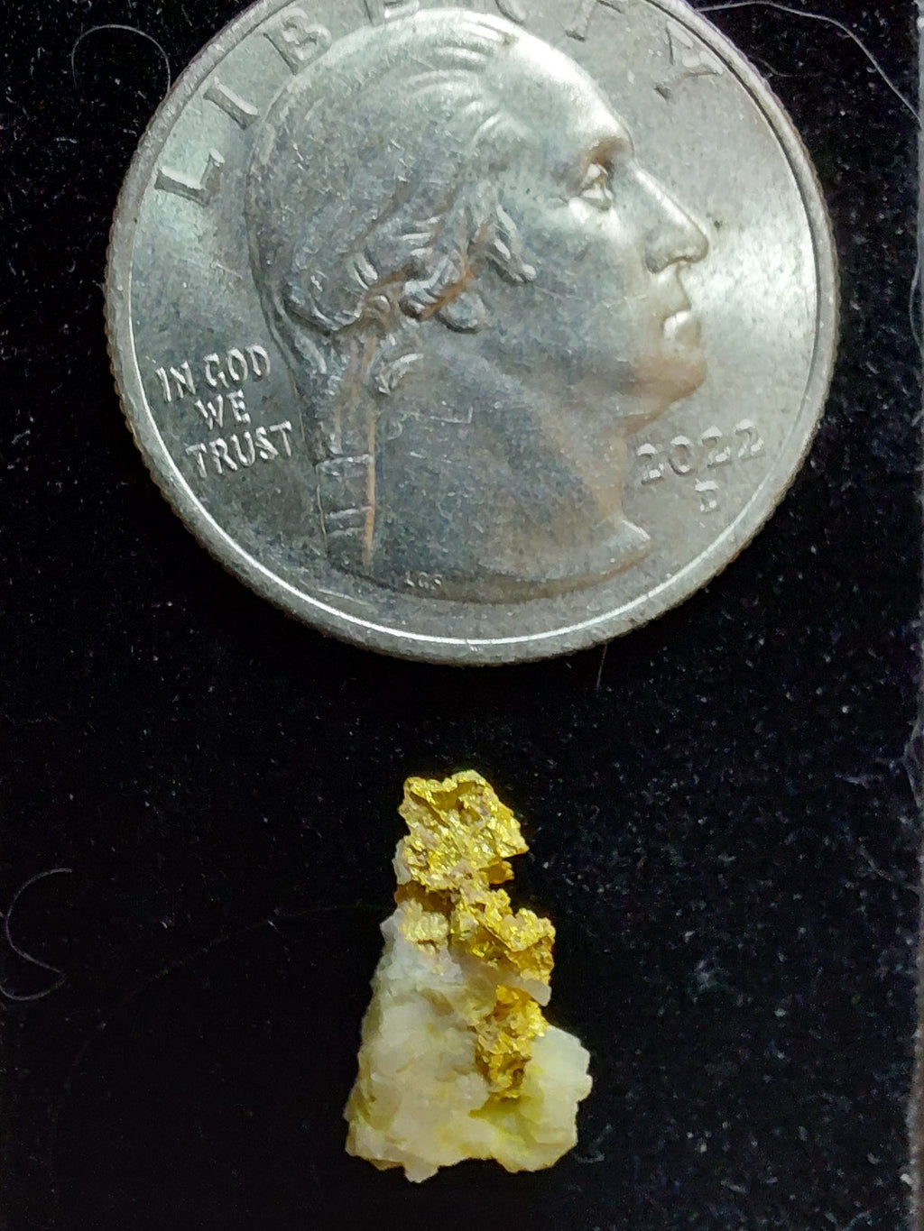 0.863 g Nevada Crystal Gold Specimen