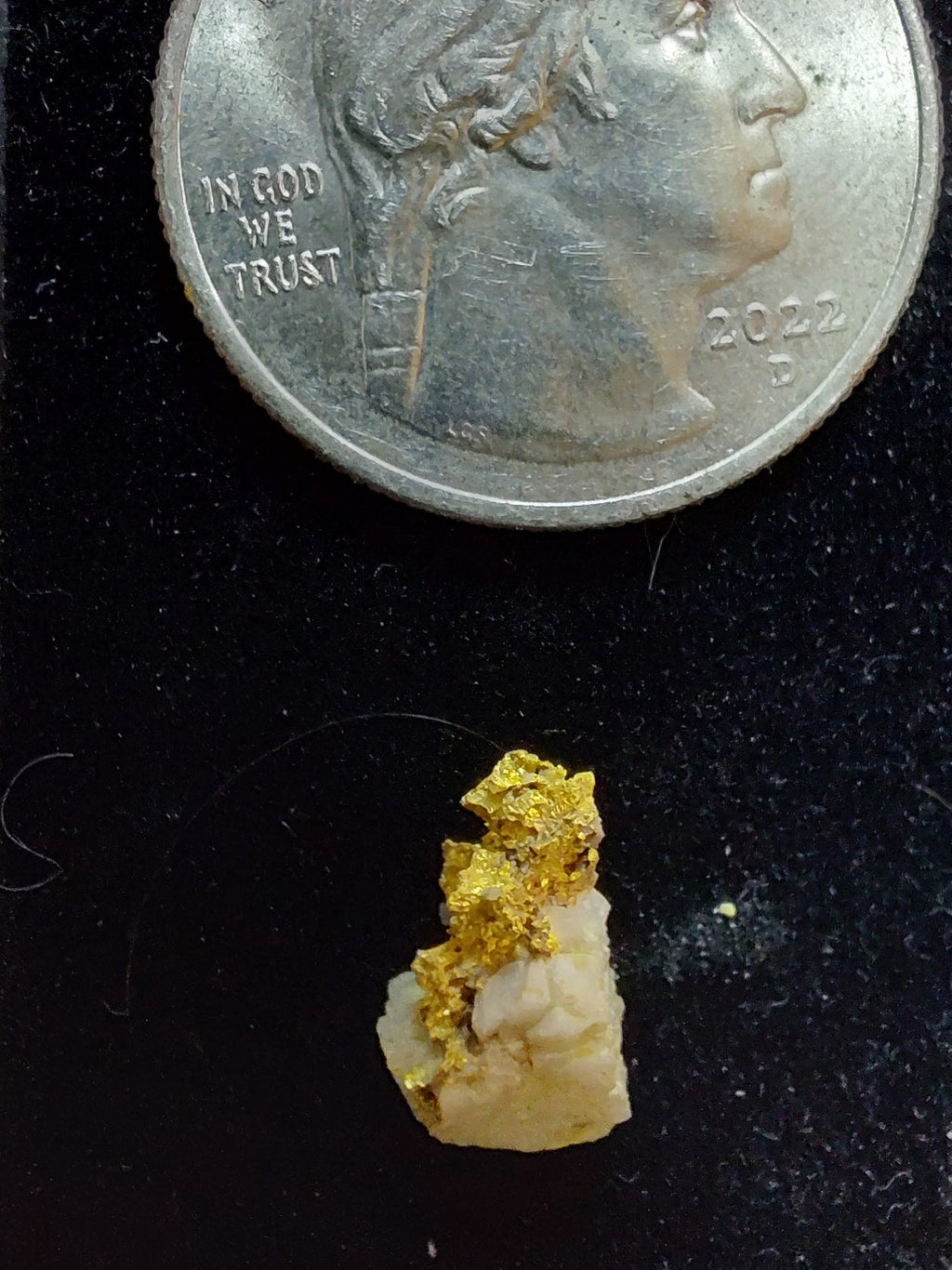 0.863 g Nevada Crystal Gold Specimen