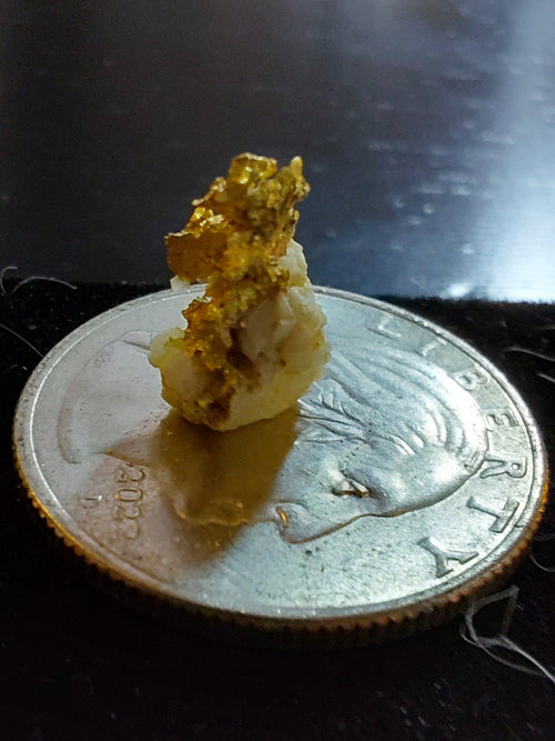 0.863 g Nevada Crystal Gold Specimen