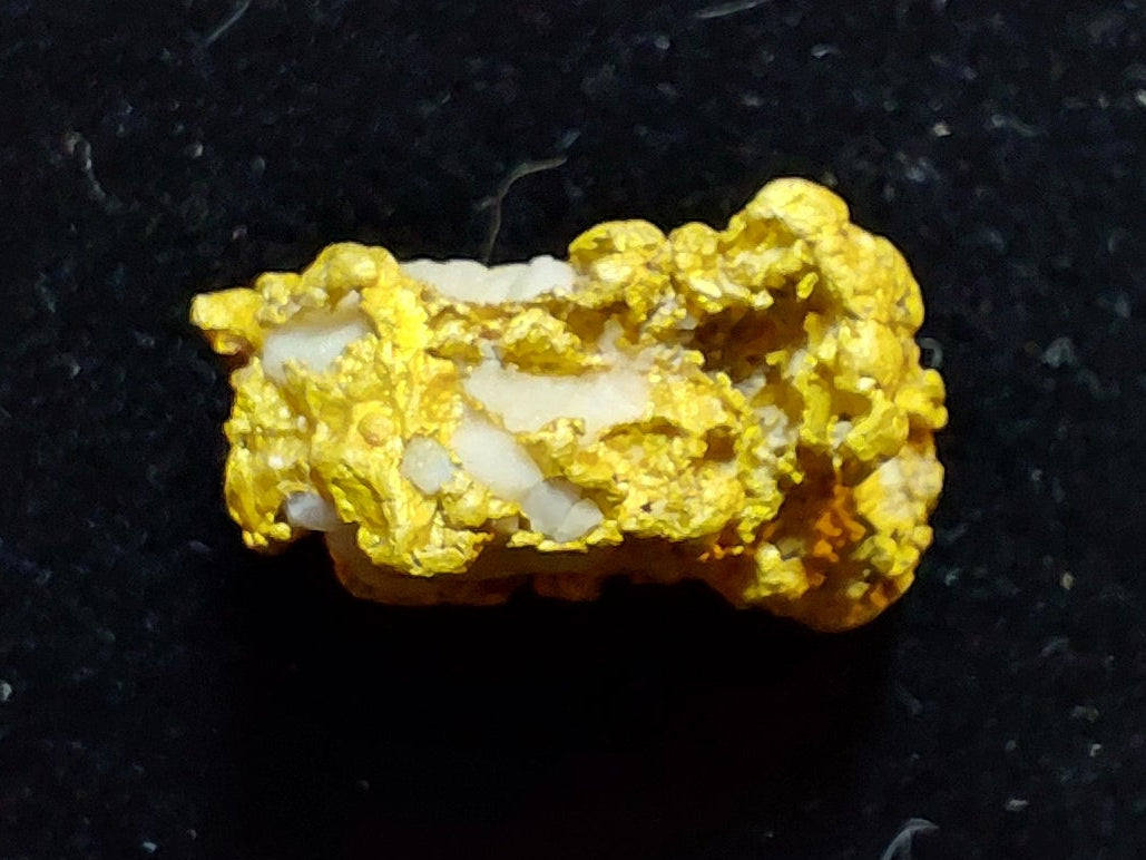 HUGE 9.6 gram Gold on Quartz Specimen!