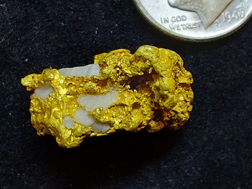"The Octopus" - 9.5+g  specimen with ~8.2g of Gold