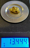 "The Beast" - 13.4+g Australian gold nugget