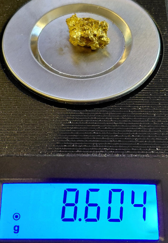 "The Brain" - 8.6+g  specimen with ~7.8+g of Gold