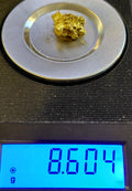 "The Brain" - 8.6+g  specimen with ~7.8+g of Gold