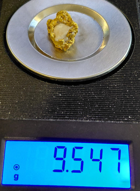 "The Octopus" - 9.5+g  specimen with ~8.2g of Gold