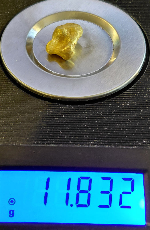 "The Ghost" 11.8+ gram Australian Gold Nugget