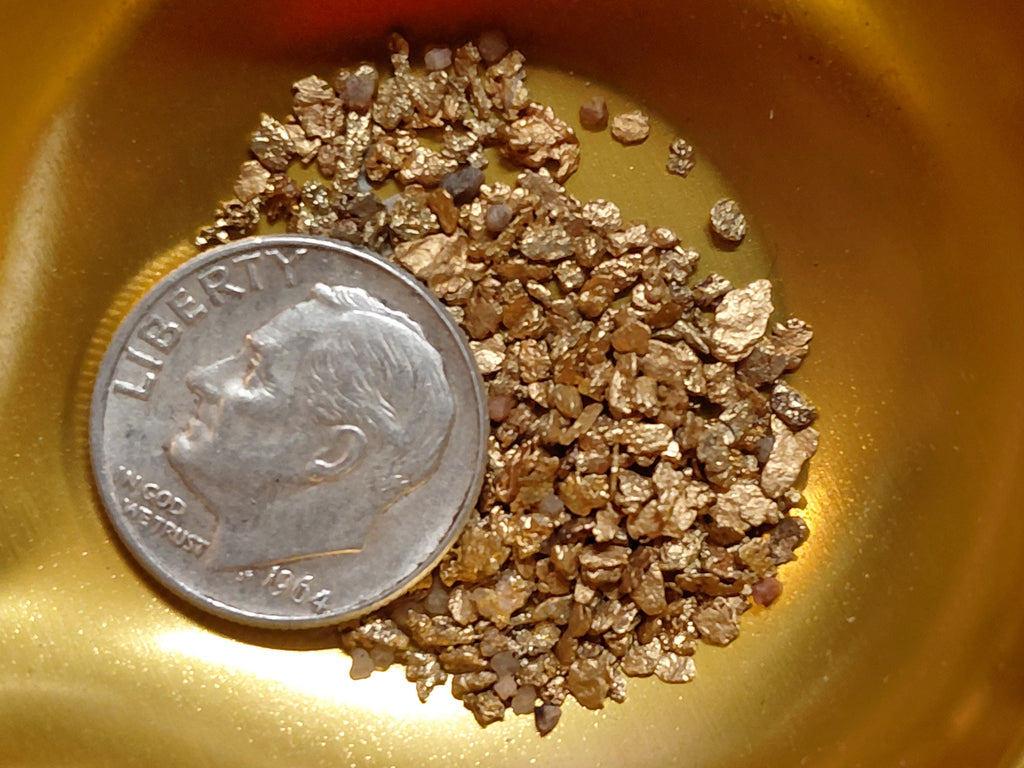 MEGALOGOLD: Guaranteed Gold and a Megalodon Tooth!