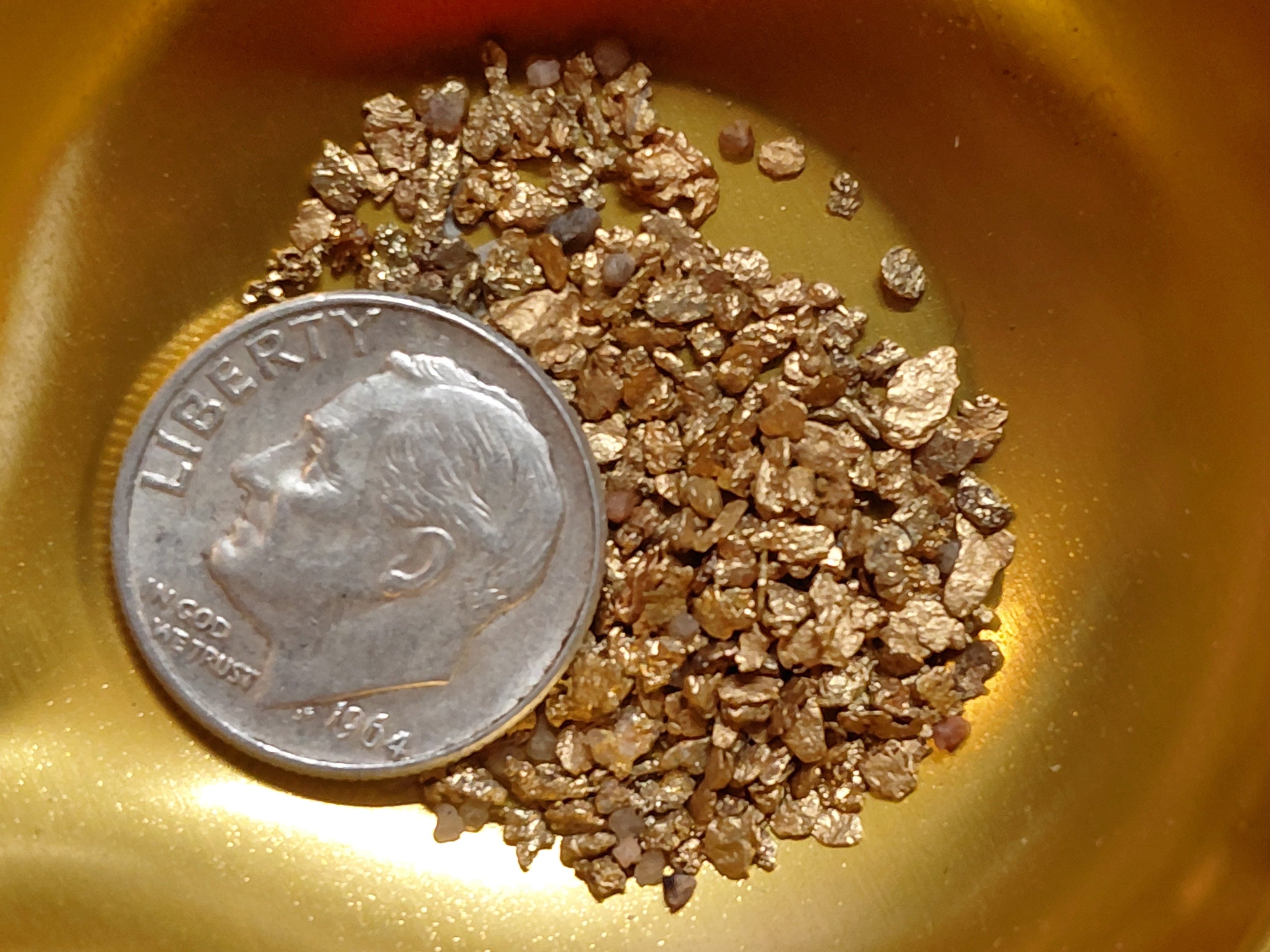 MEGALOGOLD: Guaranteed Gold and a Megalodon Tooth!