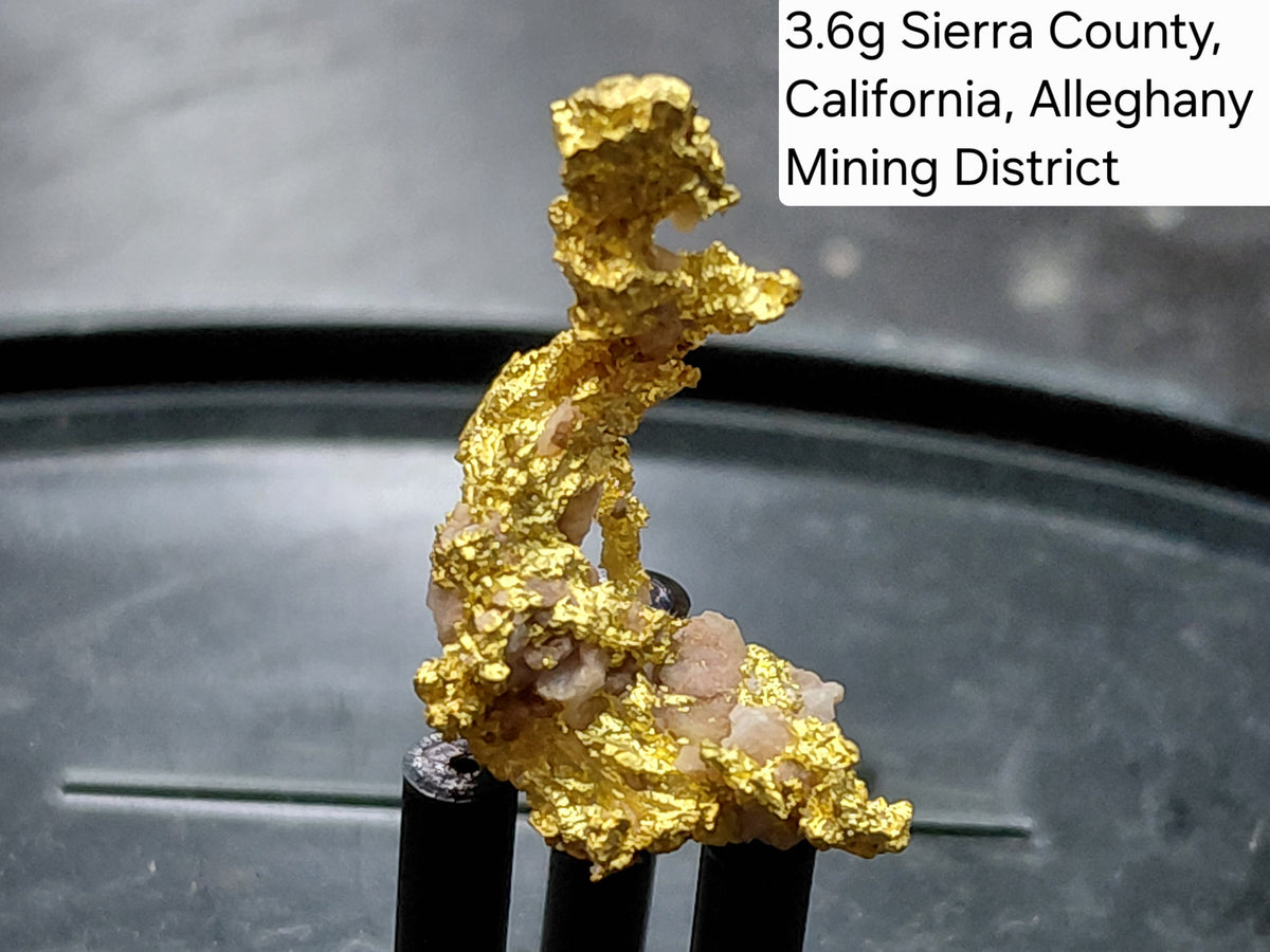 Big @ss Specimen - One Museum-Quality Specimen & Placer Gold Paydirt