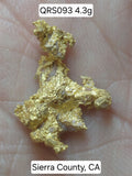 Big @ss Specimen - One Museum-Quality Specimen & Placer Gold Paydirt