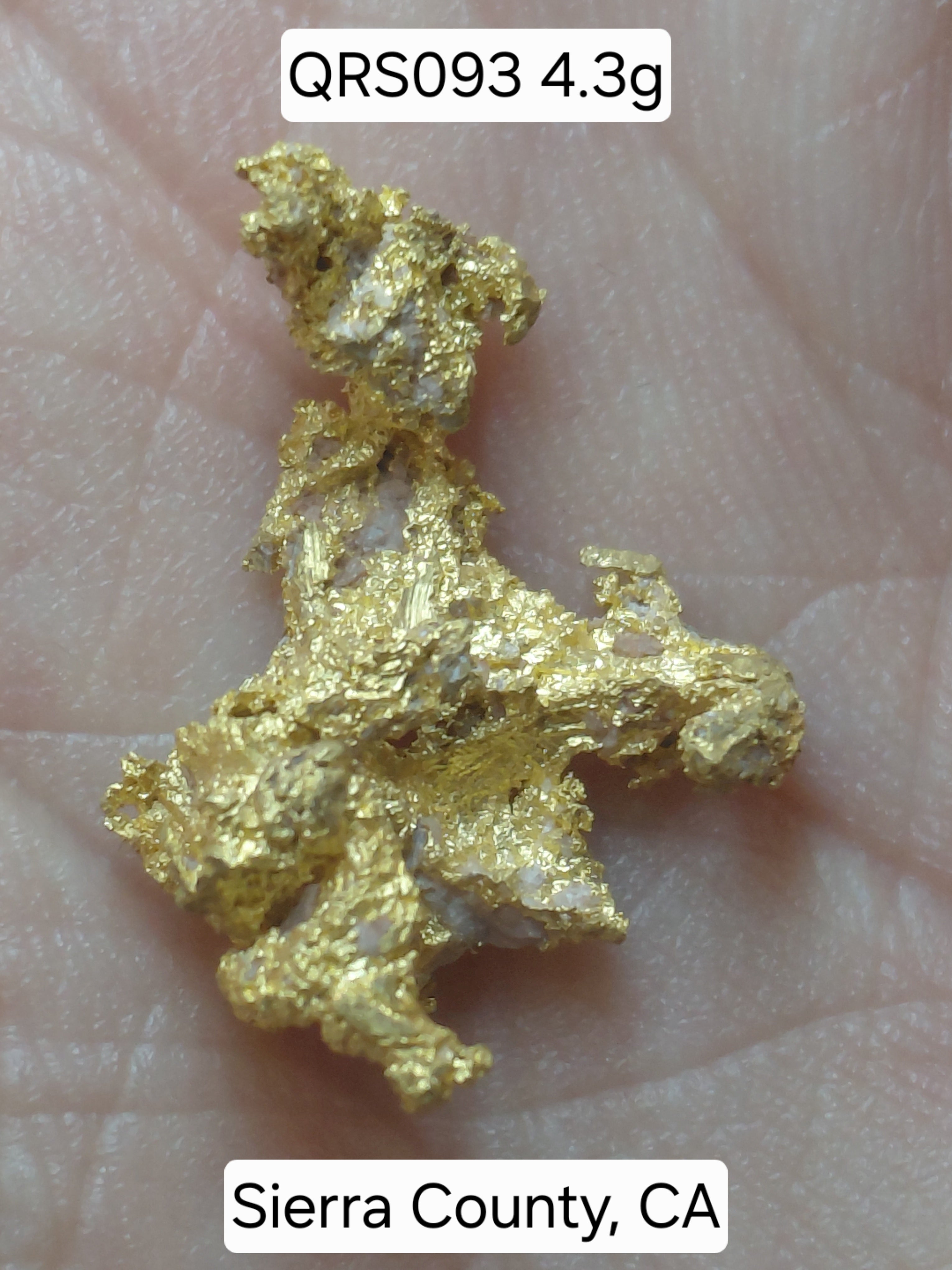 Big @ss Specimen - One Museum-Quality Specimen & Placer Gold Paydirt