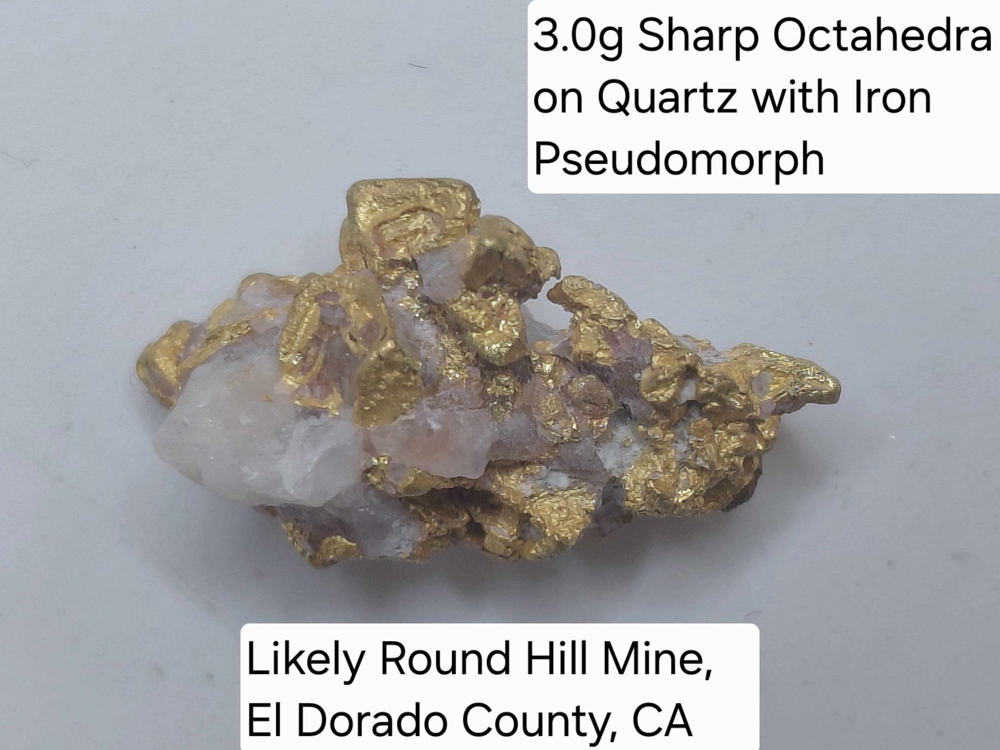 Big @ss Specimen - One Museum-Quality Specimen & Placer Gold Paydirt