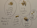 Mariposa Madness Gold Specimen Paydirt