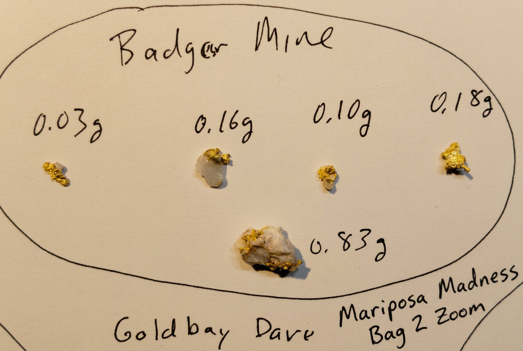 Mariposa Madness Gold Specimen Paydirt