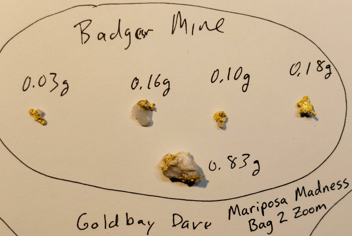 Mariposa Madness Gold Specimen Paydirt