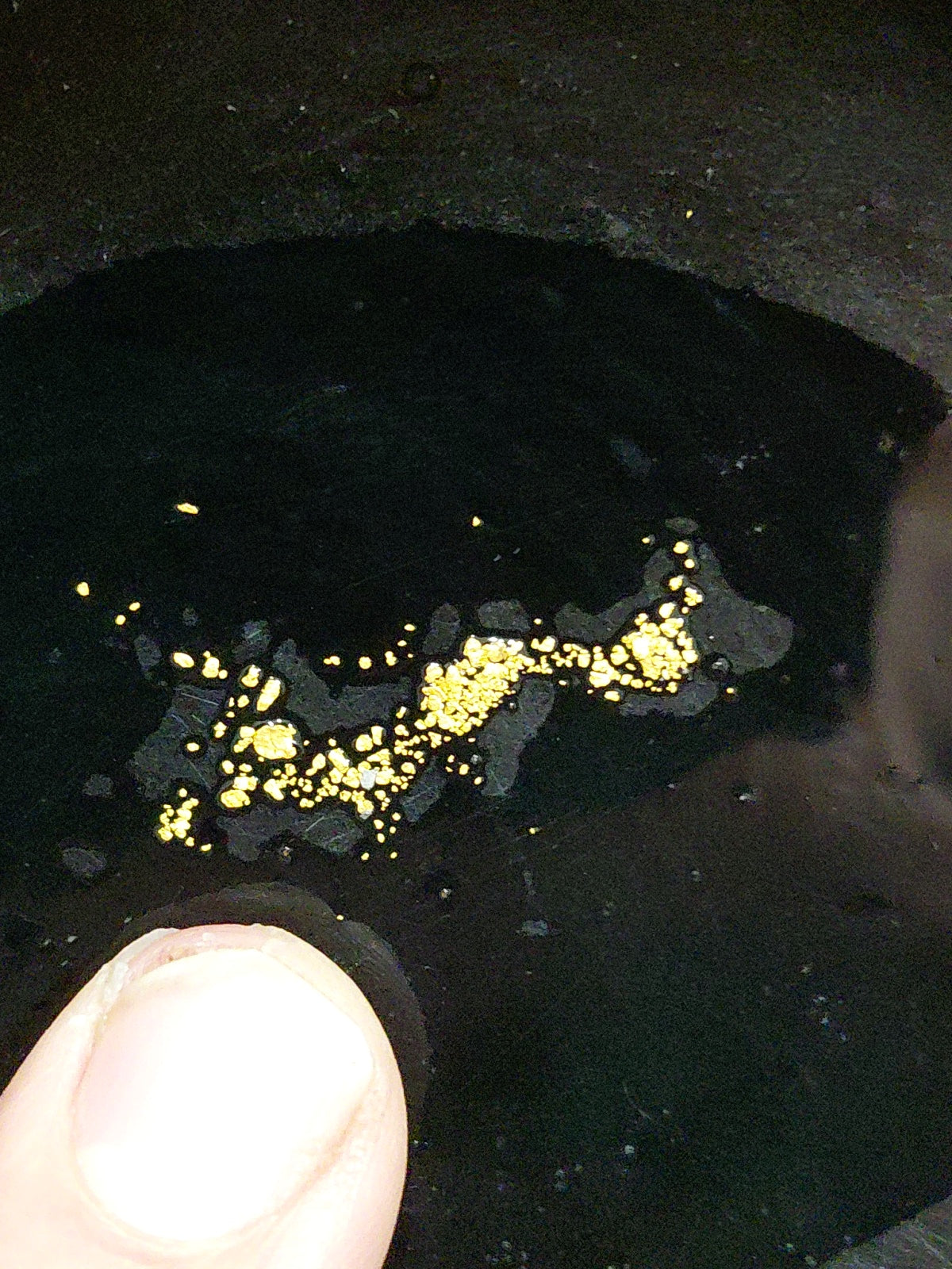 1 gram of gold Guaranteed - Silver Half Dollar Putz Dirt