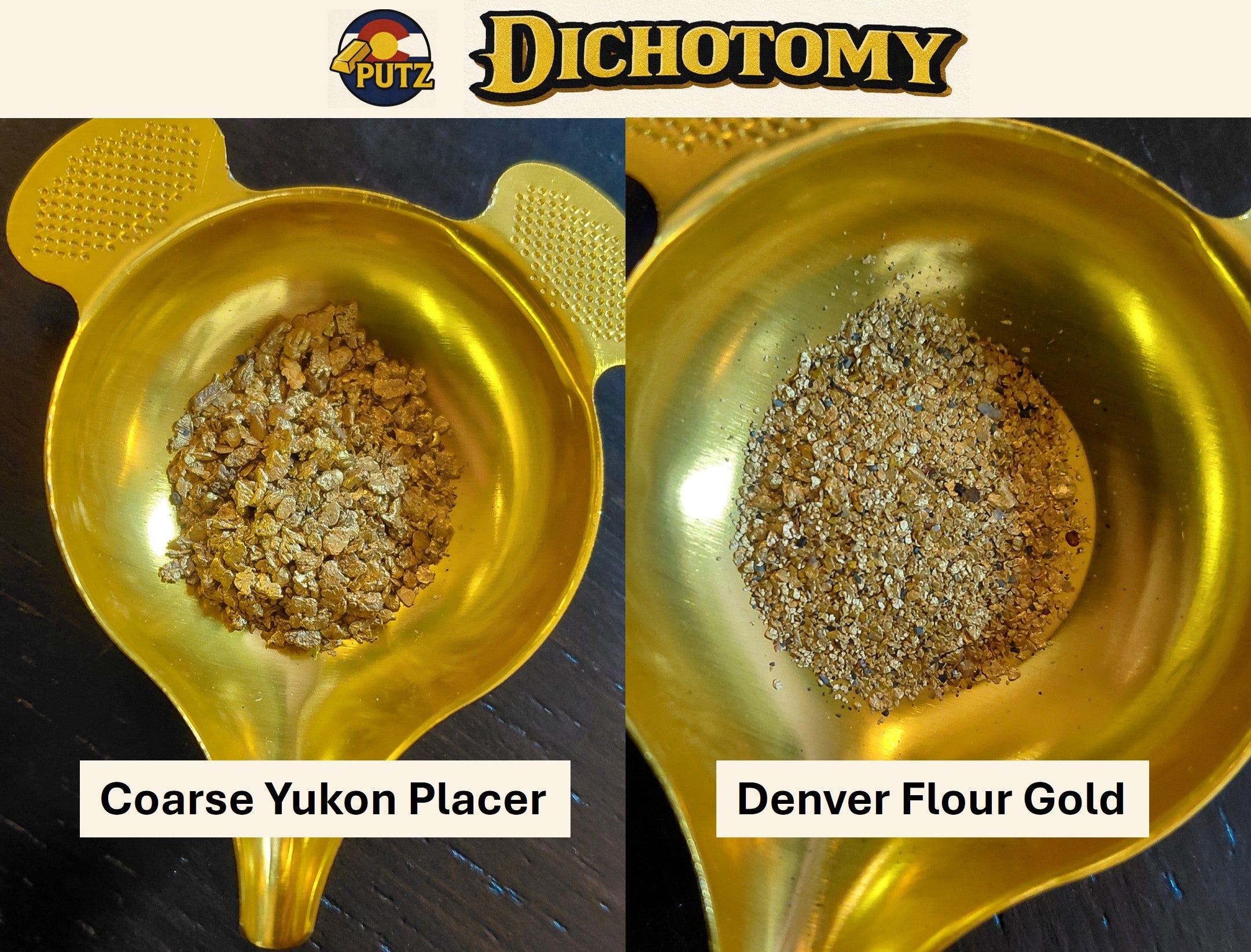 DICHOTOMY 1 gram guaranteed gold paydirt