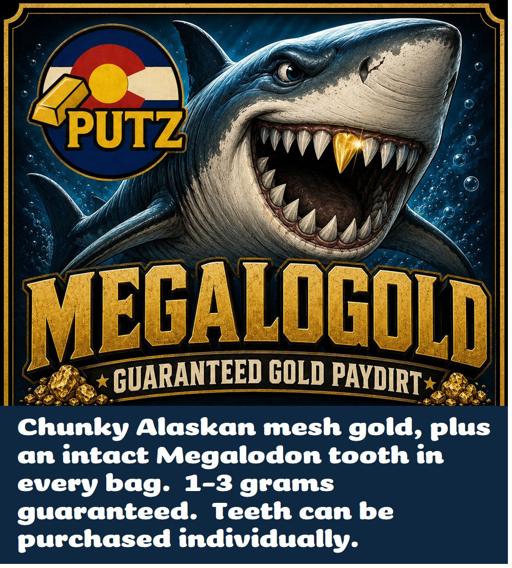 MEGALOGOLD: Guaranteed Gold and a Megalodon Tooth!
