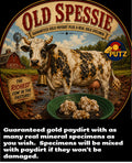 OLD SPESSIE - Guaranteed Gold Paydirt Bundled With Specimens!