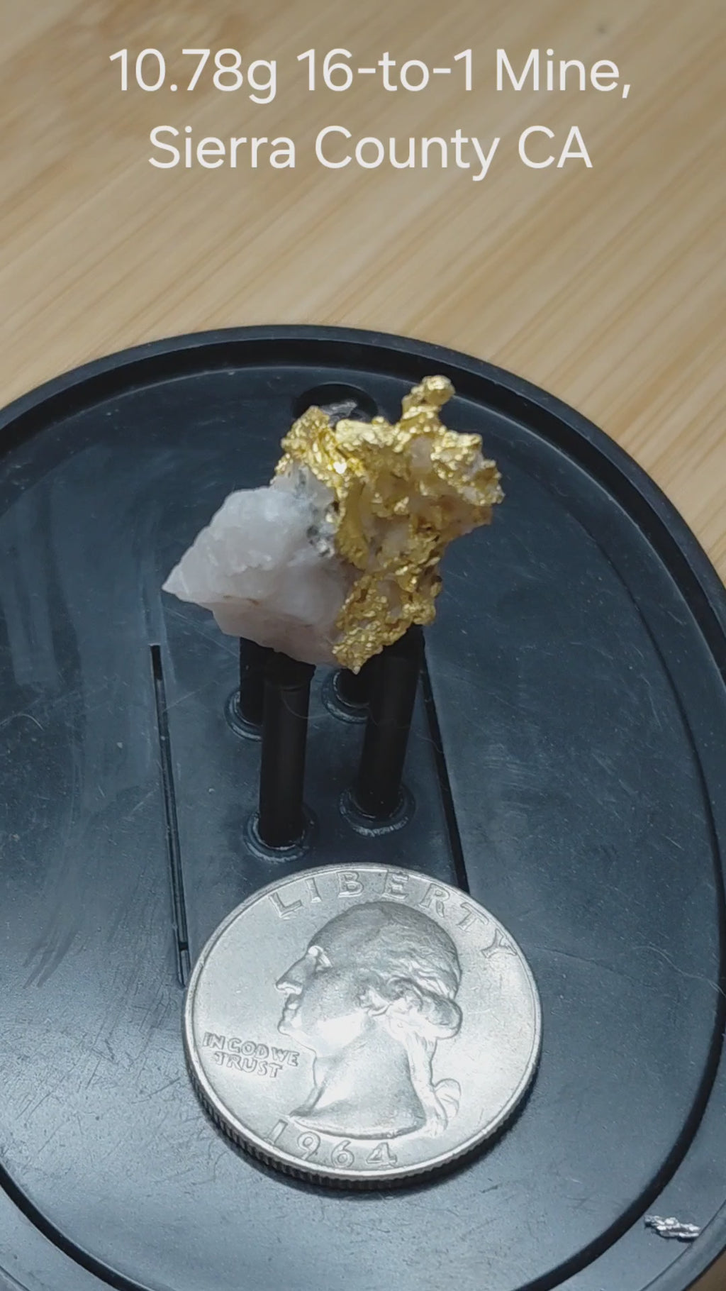 "Golden Wing" 10.78g, 16-to-1 Mine, Sierra County CA