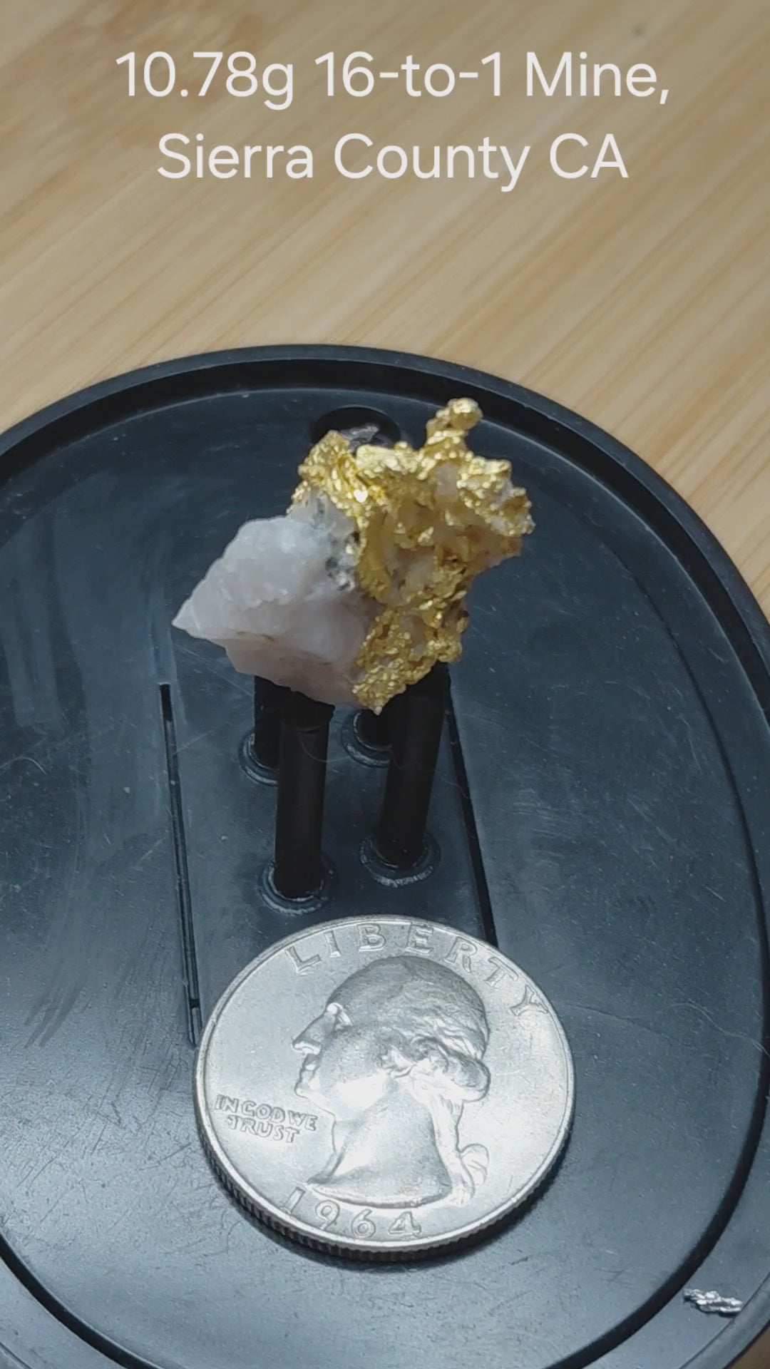 "Golden Wing" 10.78g, 16-to-1 Mine, Sierra County CA