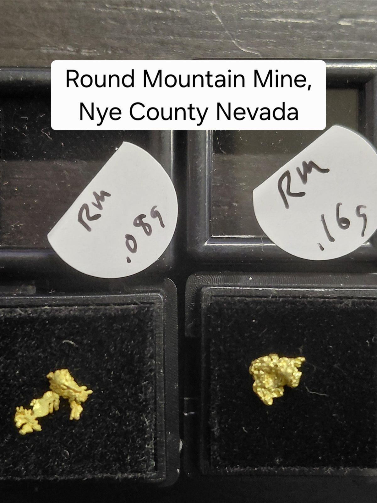 OLD SPESSIE - Guaranteed Gold Paydirt Plus One Gold Specimen
