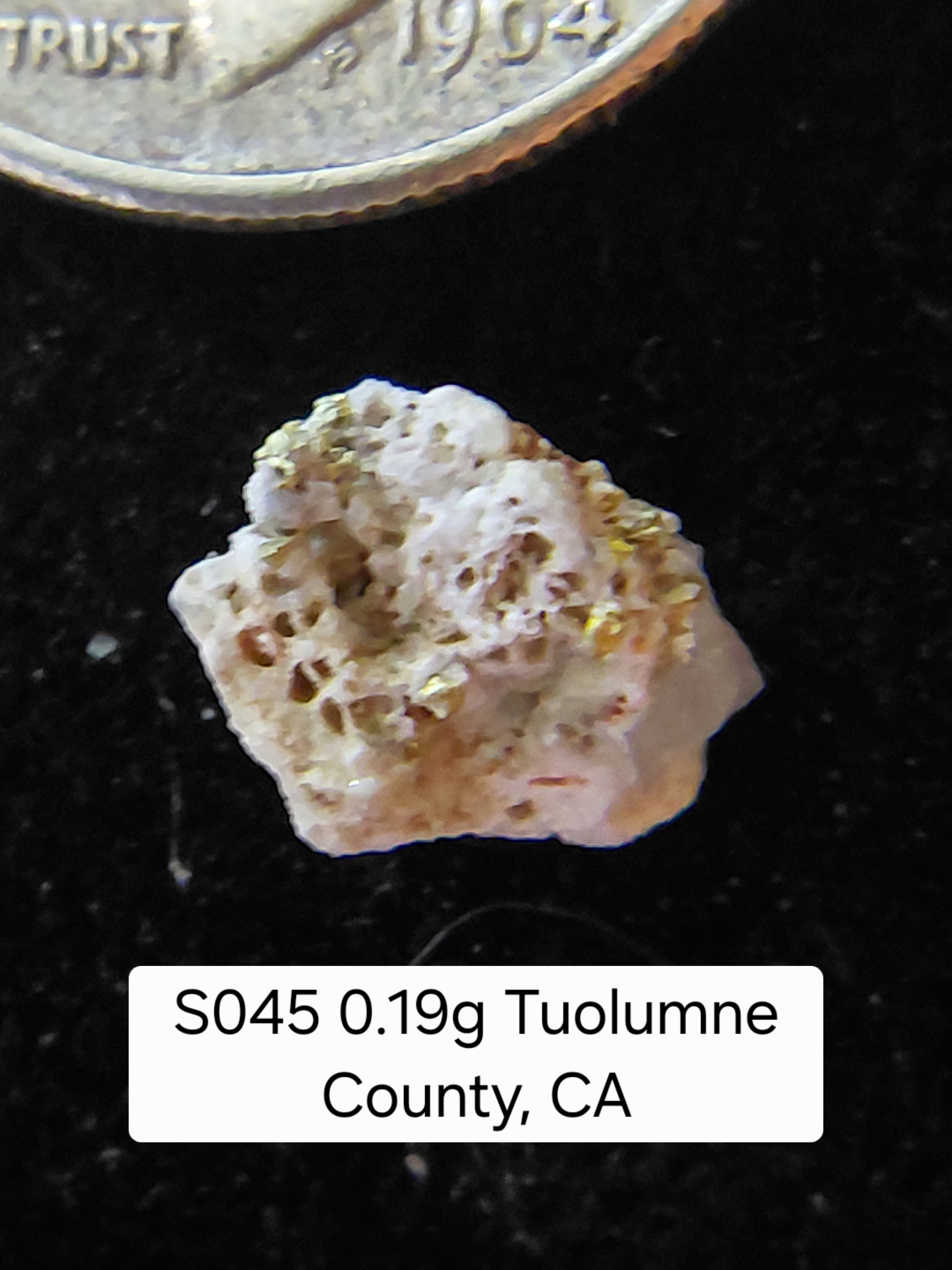 S045 0.19g Tuolumne County, CA