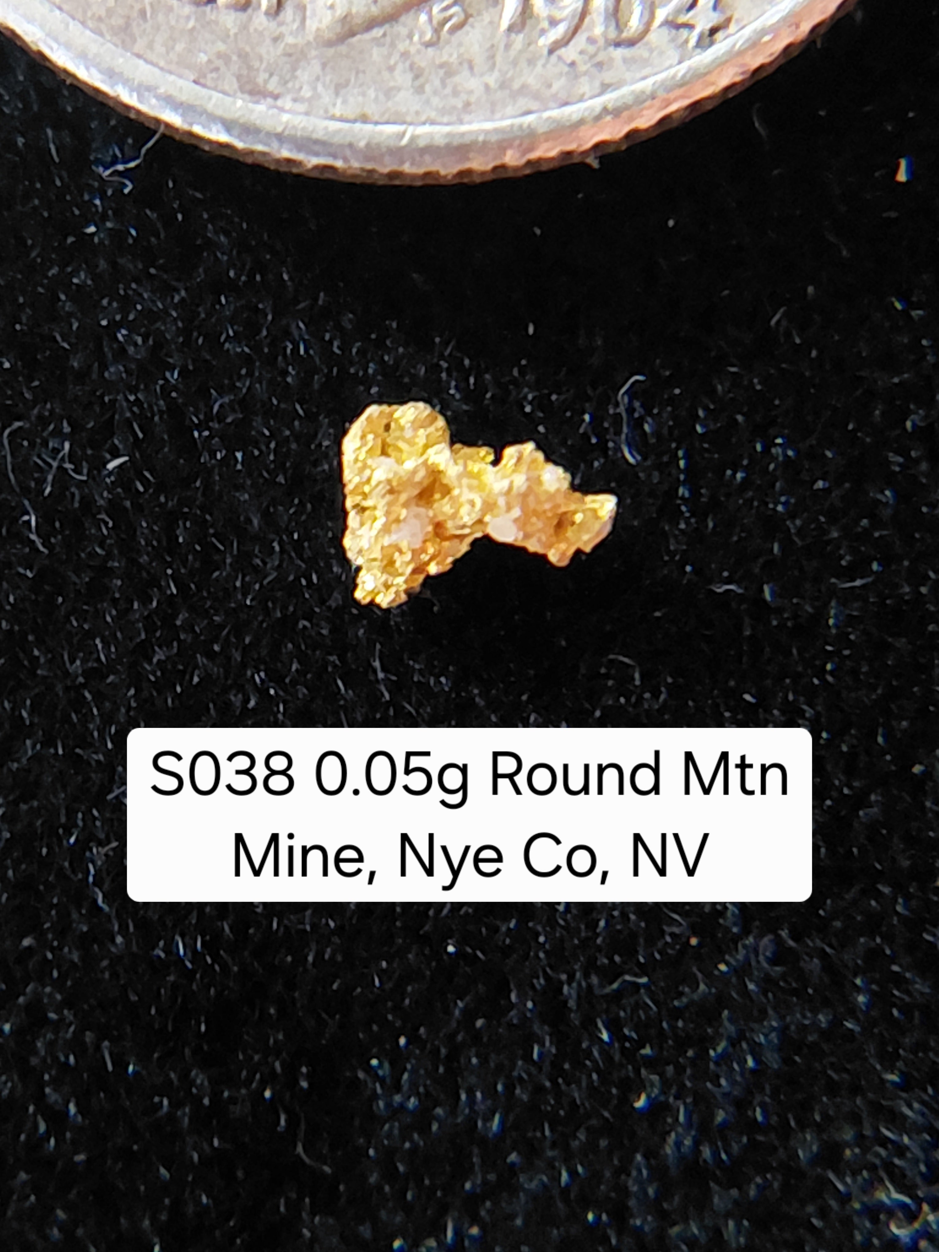 S038 0.05g Round Mtn Mine, Nye Co, NV