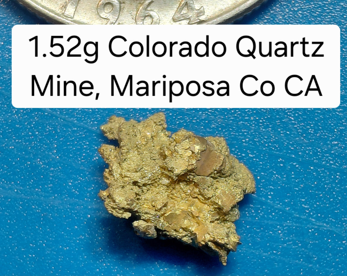 Big @ss Specimen - One Museum-Quality Specimen & Placer Gold Paydirt