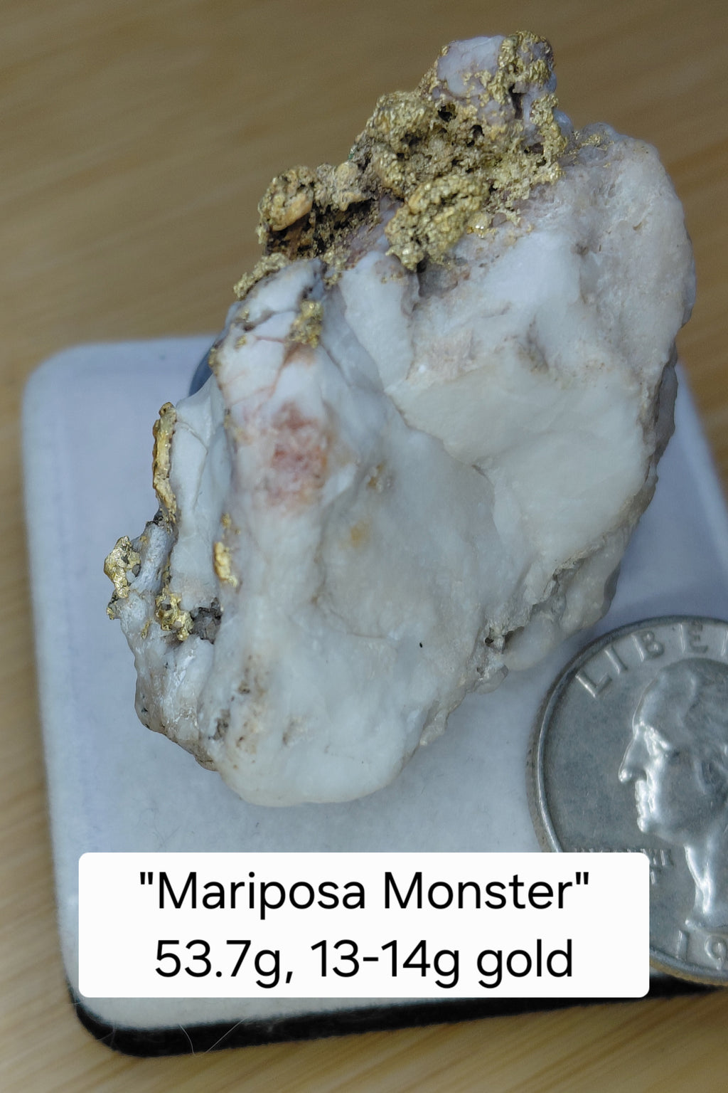 "Mariposa Monster" 53+ gram crystalline gold-in-quartz specimen