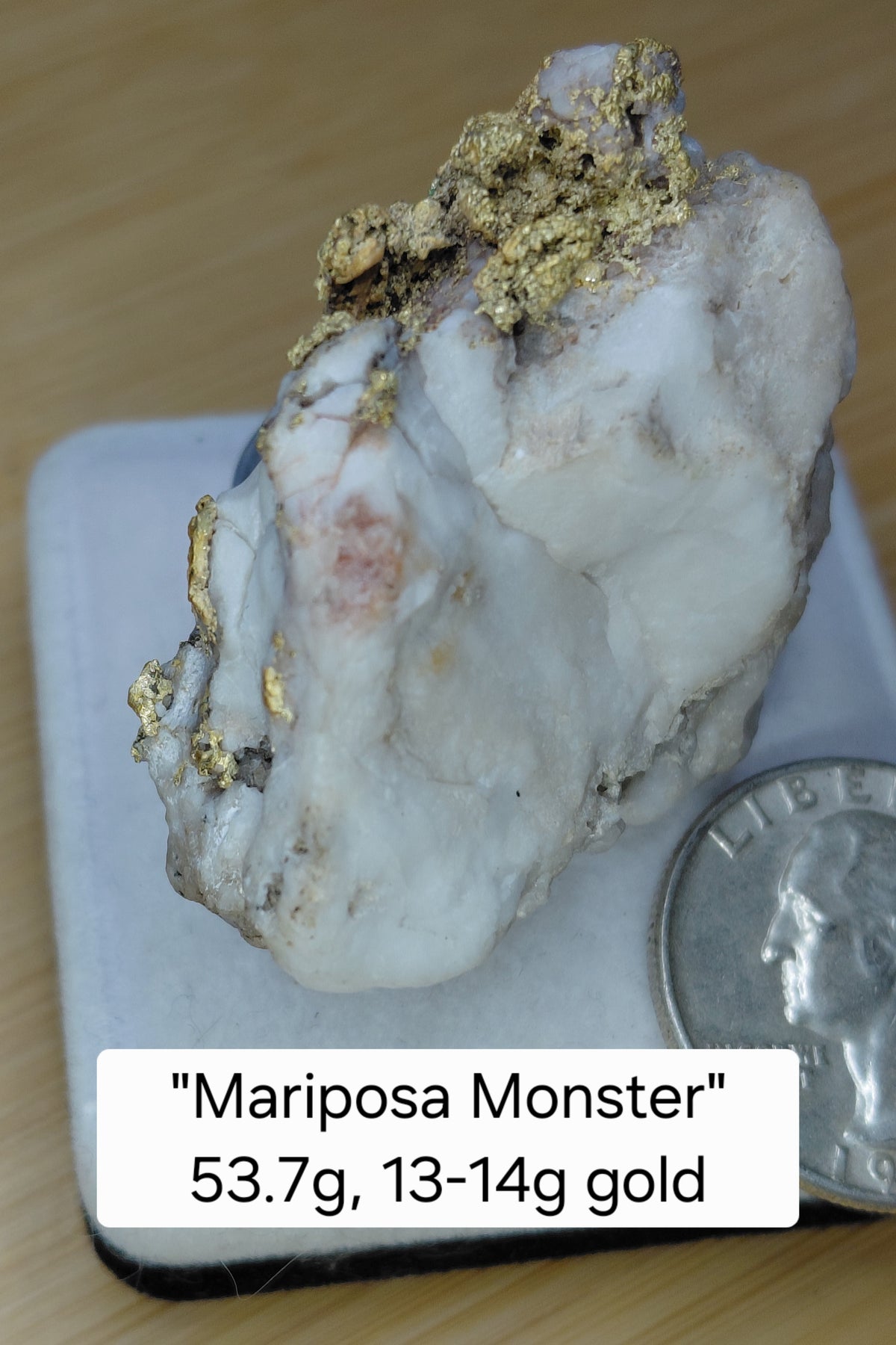 "Mariposa Monster" 53+ gram crystalline gold-in-quartz specimen