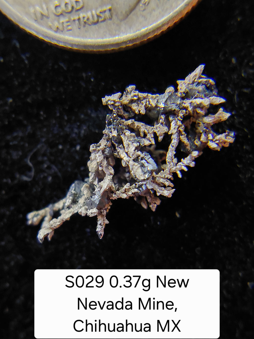 S029 0.37g New Nevada Mine, Chihuahua MX