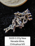 S029 0.37g New Nevada Mine, Chihuahua MX