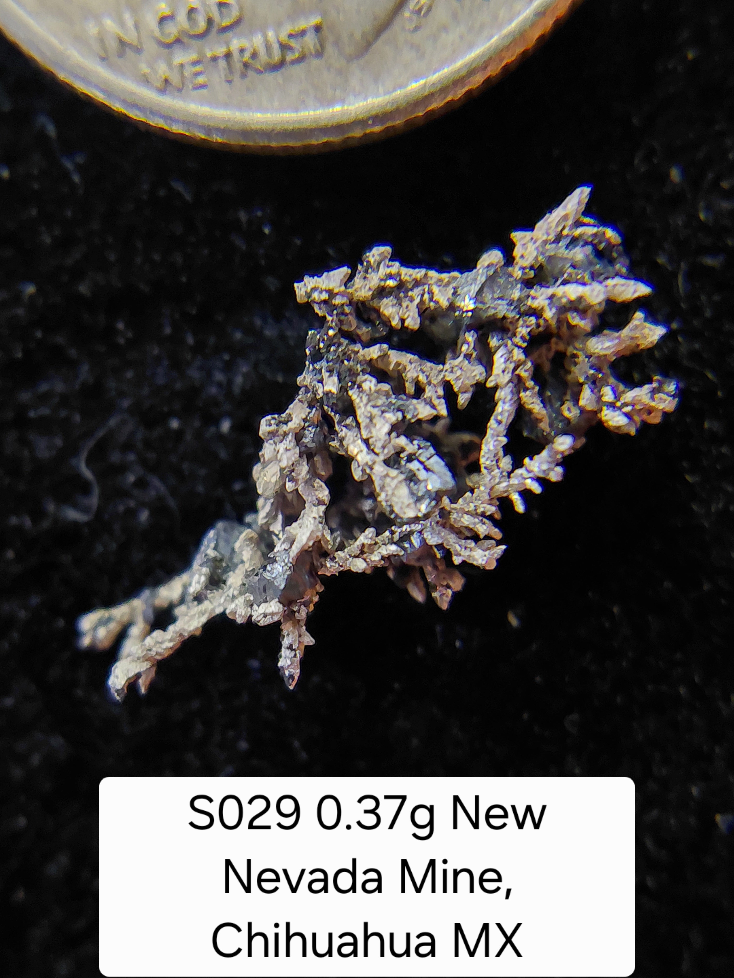 S029 0.37g New Nevada Mine, Chihuahua MX