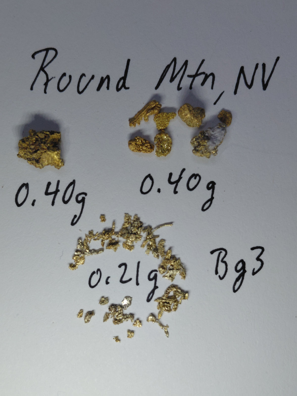 OLD SPESSIE (RM3) - Guaranteed Gold Paydirt Plus One Gold Specimen