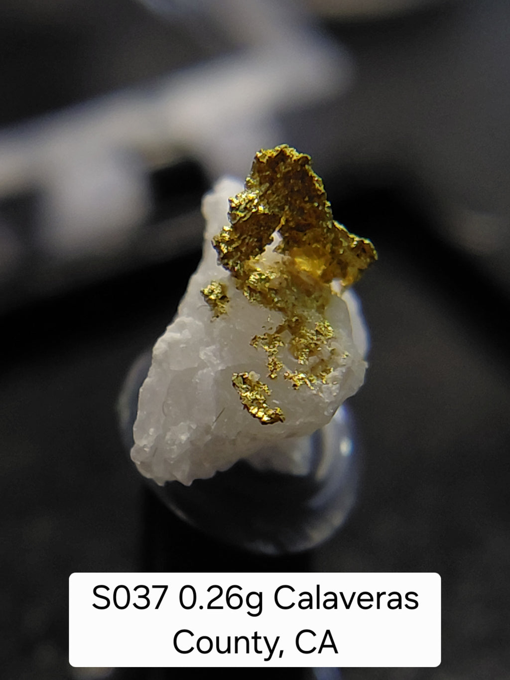 S037 0.26g Calaveras County, CA