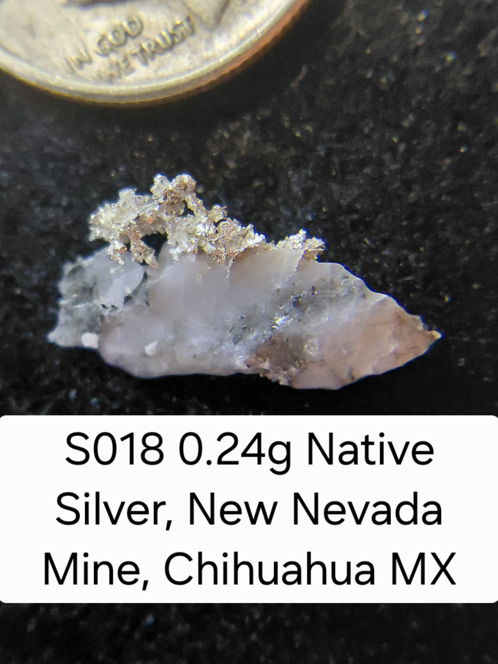 S018 0.24g Native Silver, New Nevada Mine, Chihuahua MX