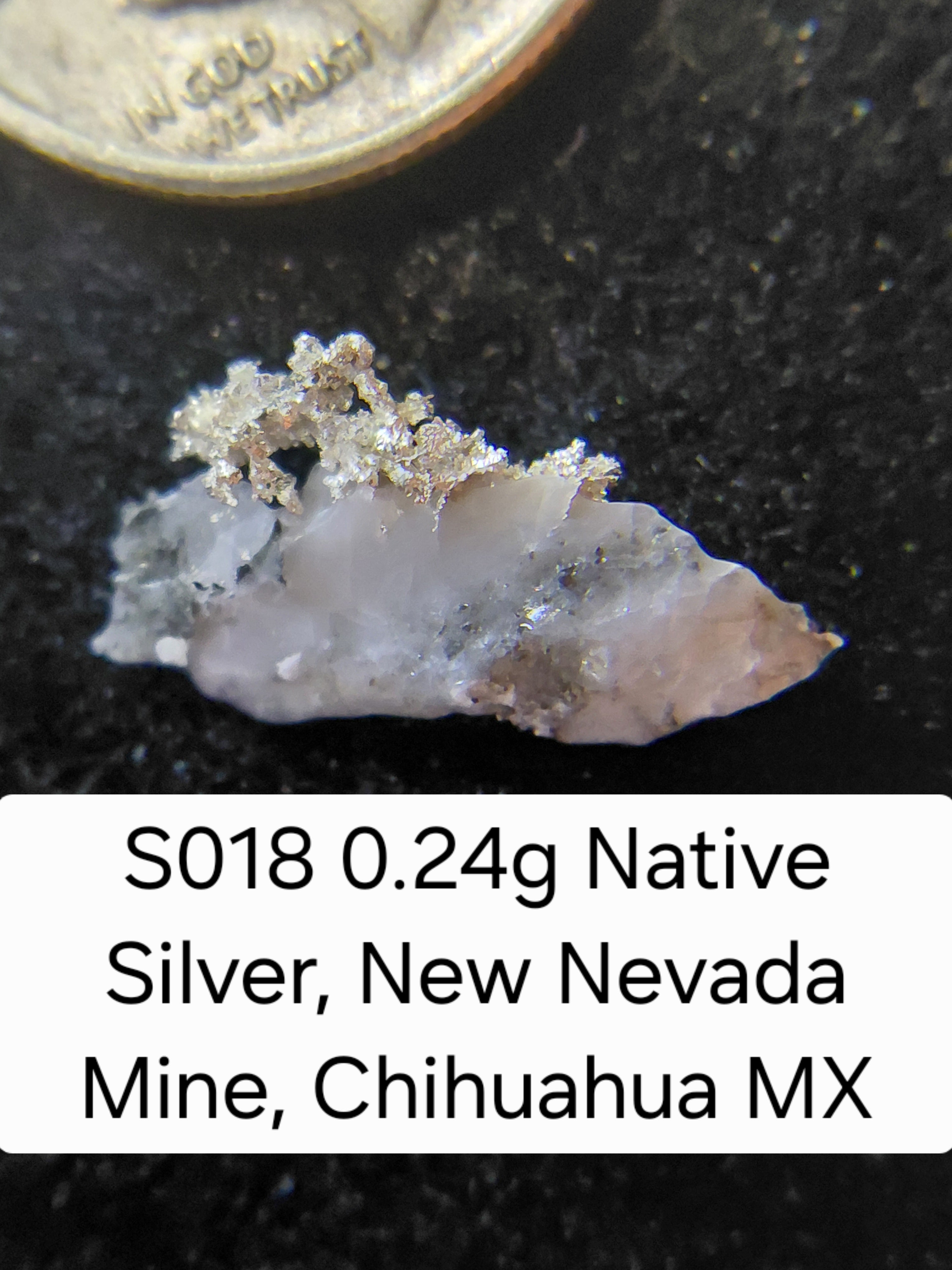 S018 0.24g Native Silver, New Nevada Mine, Chihuahua MX