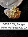S033 0.55g Badger Mine, Mariposa Co, CA