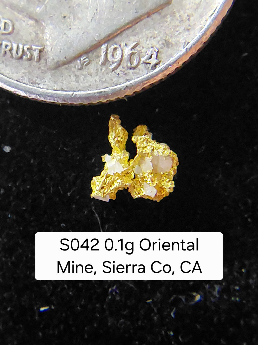 S042 0.1g Oriental Mine, Sierra Co, CA