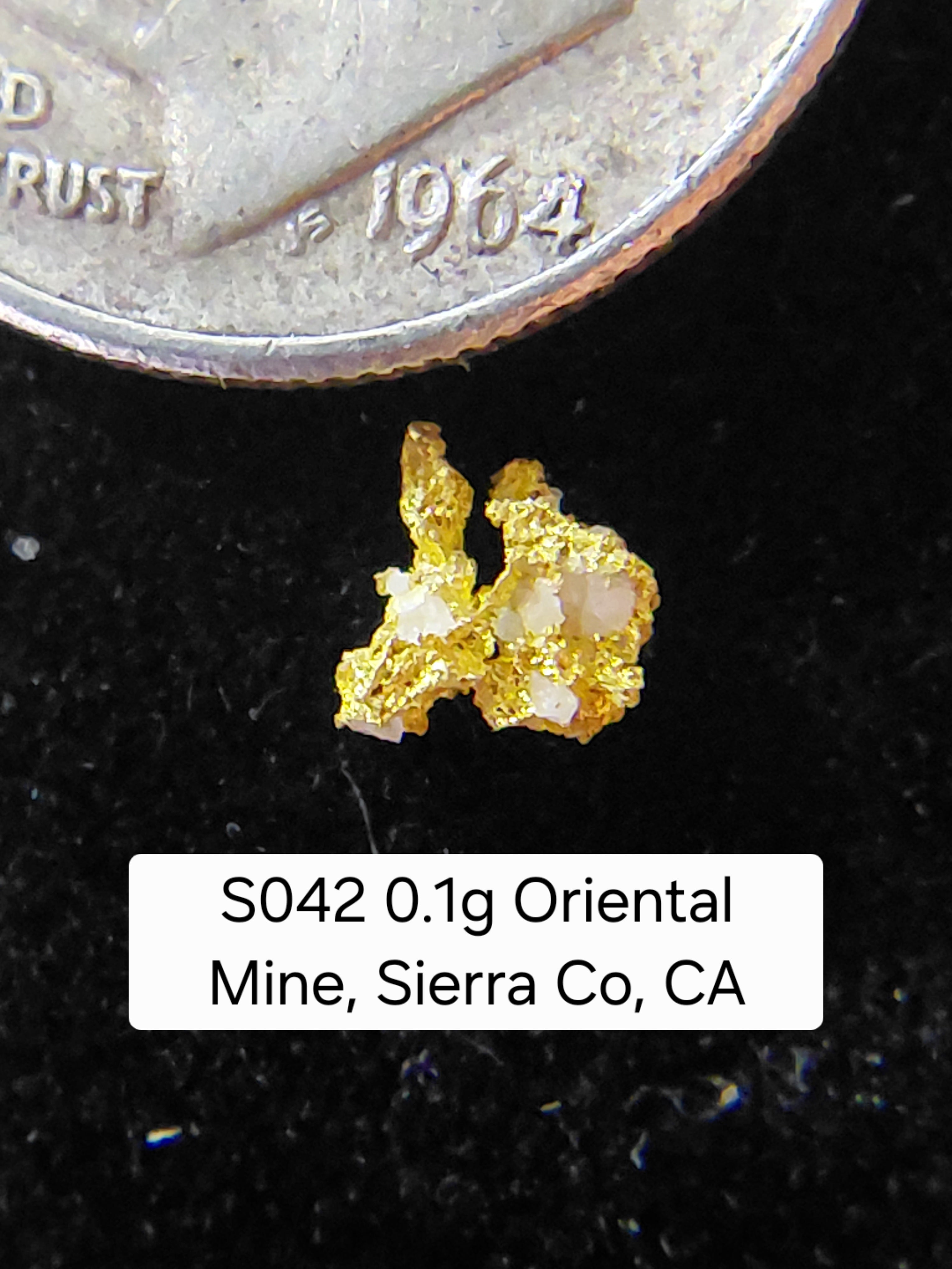 S042 0.1g Oriental Mine, Sierra Co, CA