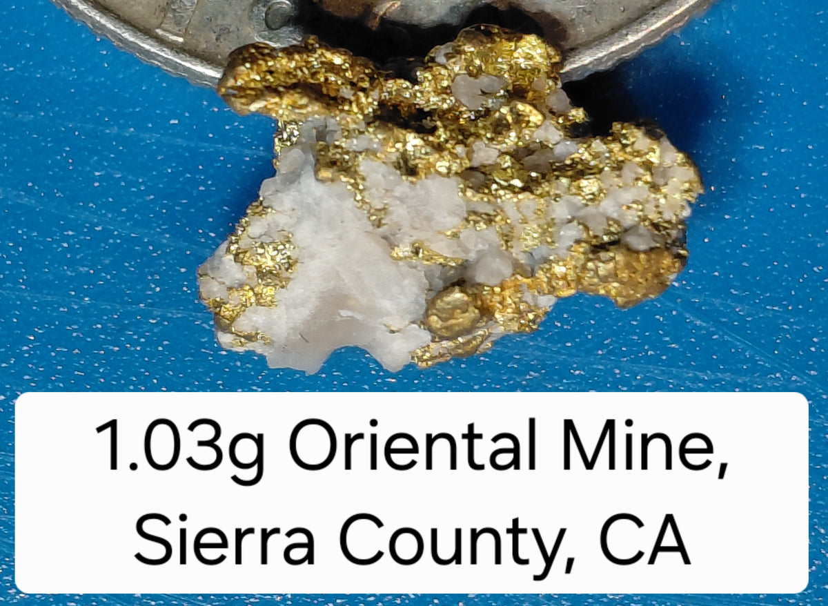 Big @ss Specimen - One Museum-Quality Specimen & Placer Gold Paydirt
