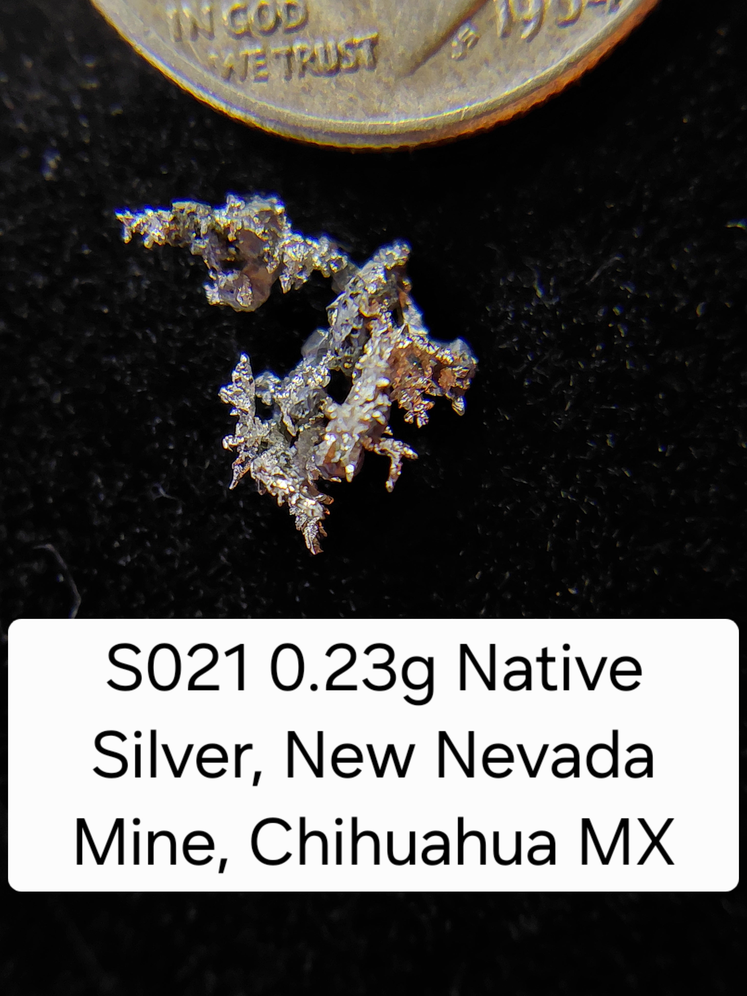S021 0.23g Native Silver, New Nevada Mine, Chihuahua MX