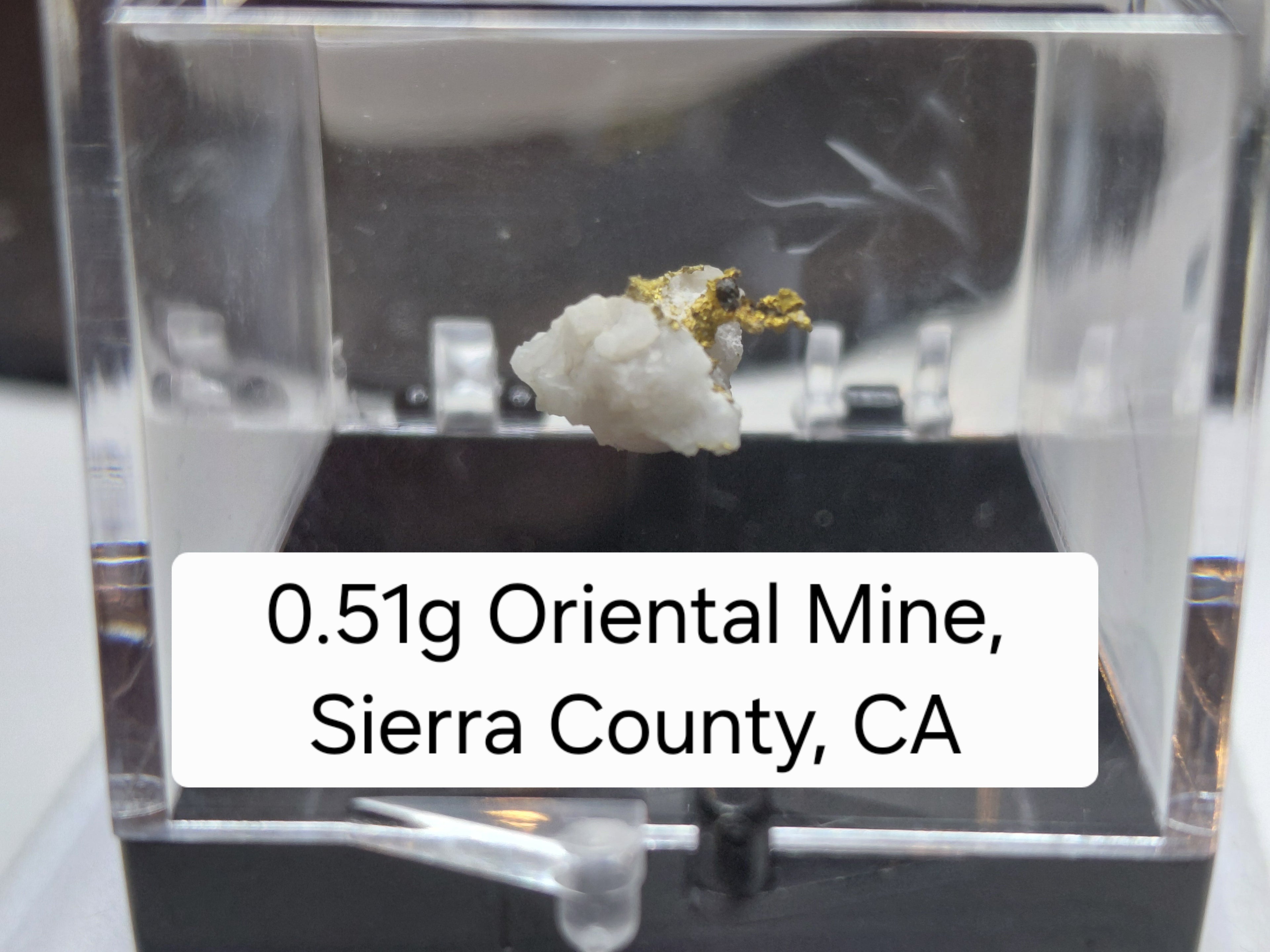 0.51g Natural Gold in Quartz Matrix - Oriental Mine, Sierra County, CA - Micro Specimen