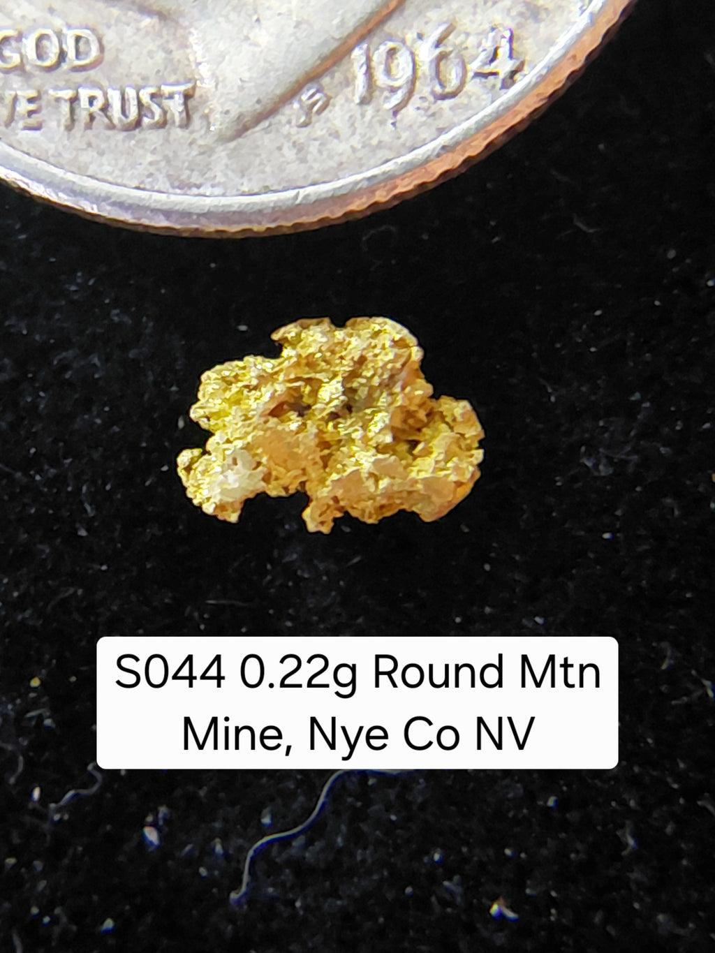 S044 0.22g Round Mtn Mine, Nye Co NV