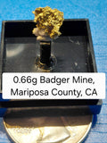 0.66g Badger Mine Crystalline Gold Specimen