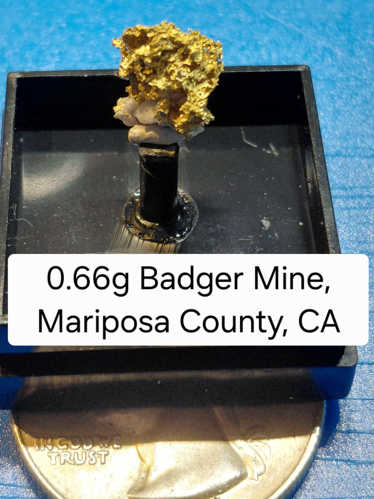 0.66g Badger Mine Crystalline Gold Specimen