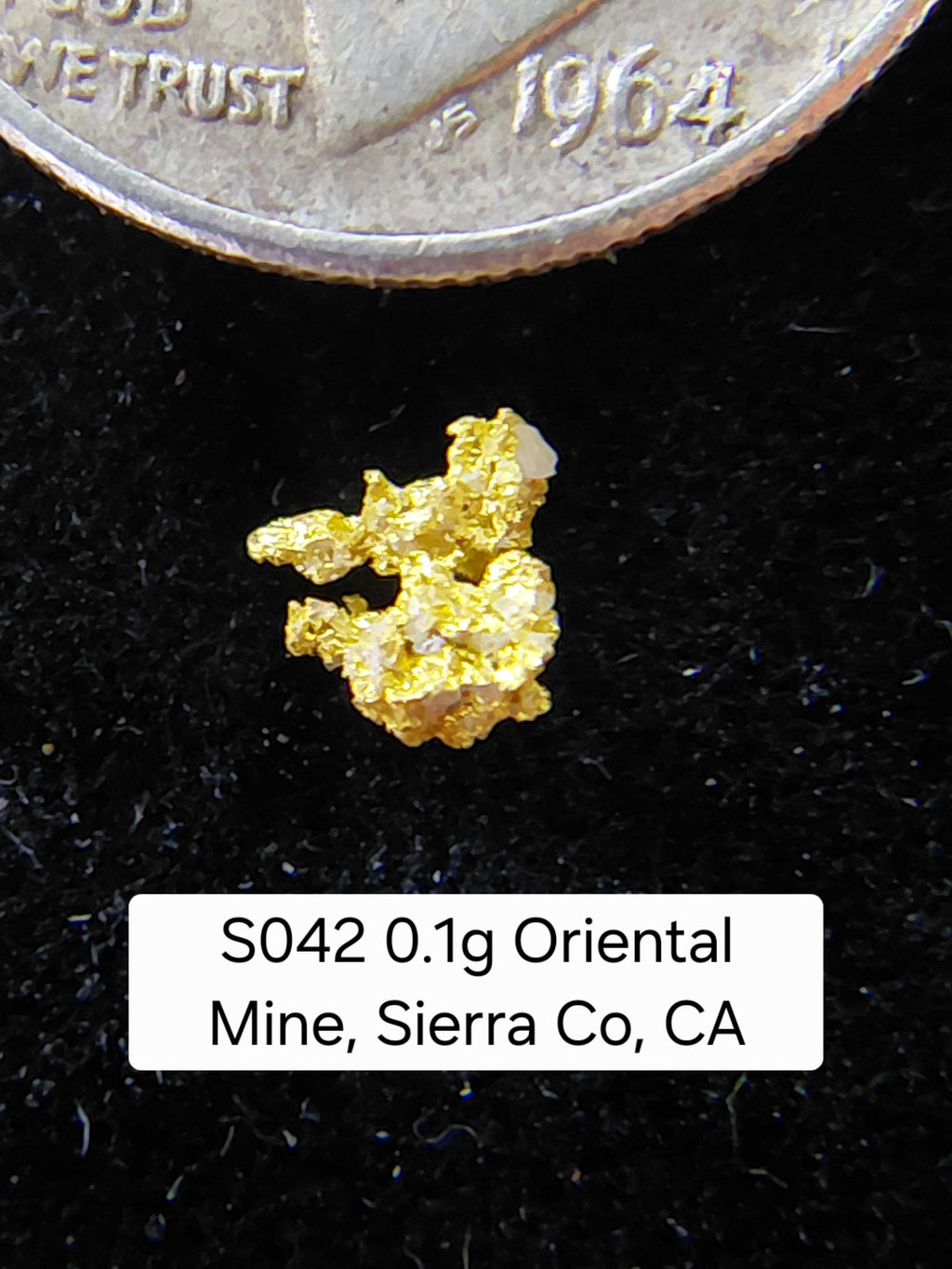 S042 0.1g Oriental Mine, Sierra Co, CA