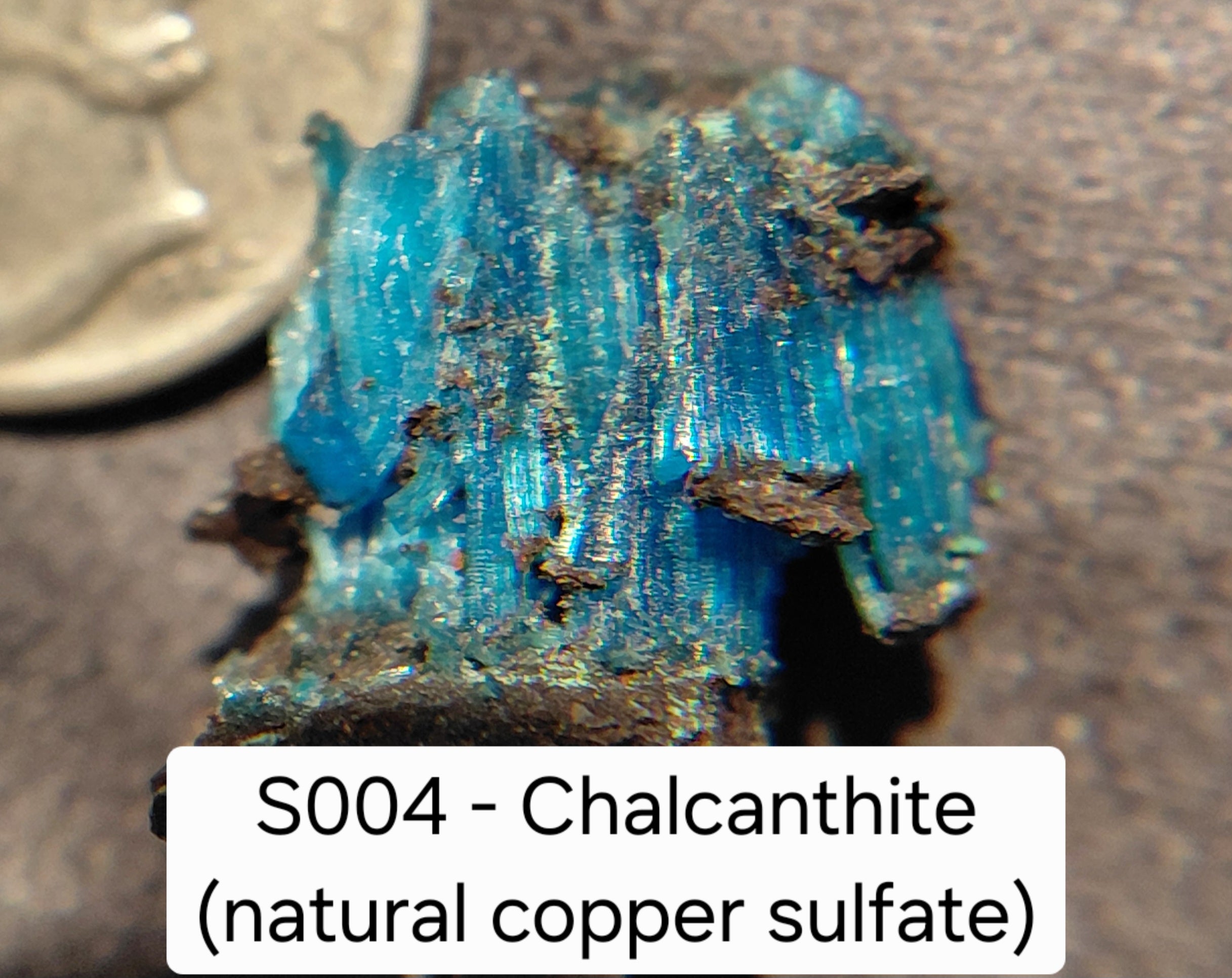 S004 - Chalcanthite (natural copper sulfate)